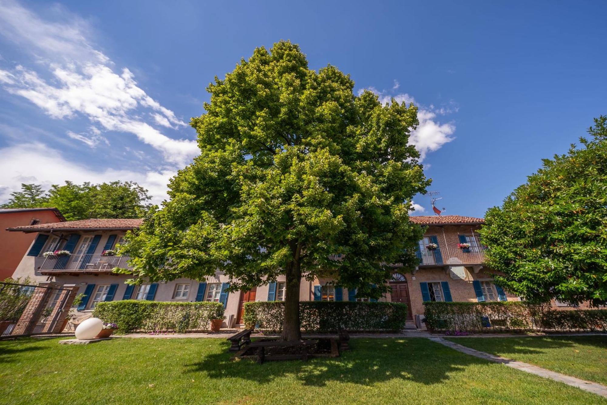 La Madernassa Resort - Casalora Dimora Storica Di Charme Guarene Εξωτερικό φωτογραφία